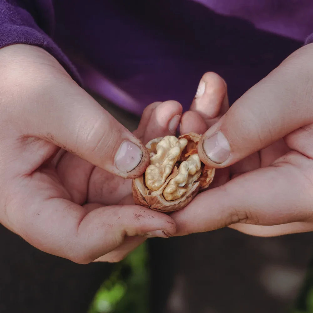 Achieving Multiple Orgasms Through Prostate Massage