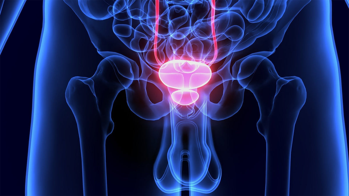 Healthy Prostate Tips: 9 Habits Every Man Should Follow – GIDDI