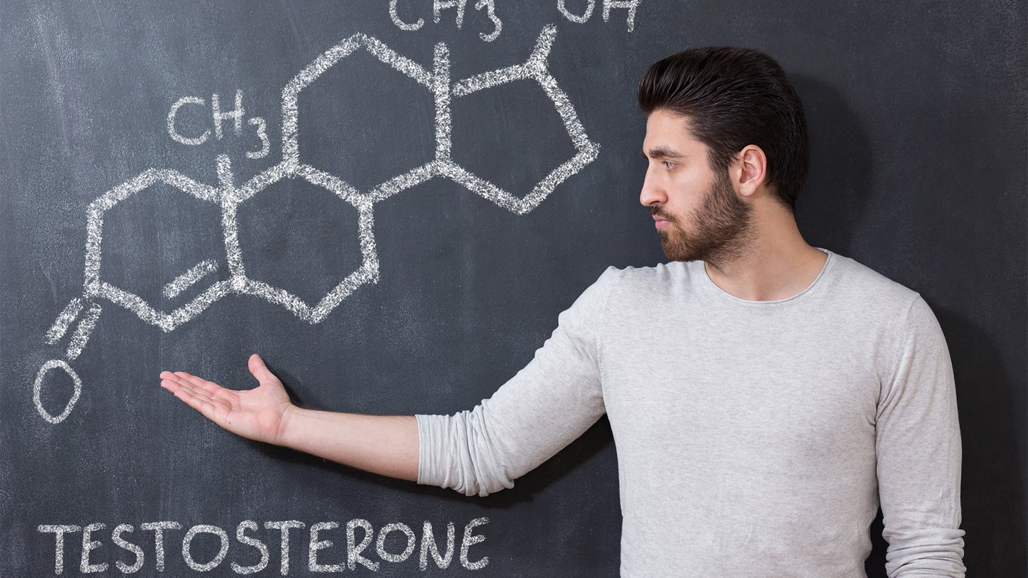 Testosterone and Prostate Cancer: How Are They Linked?